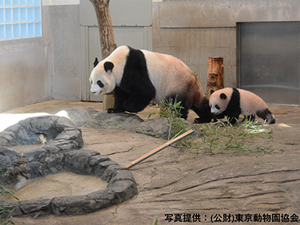 ホテル周辺の施設 上野動物園